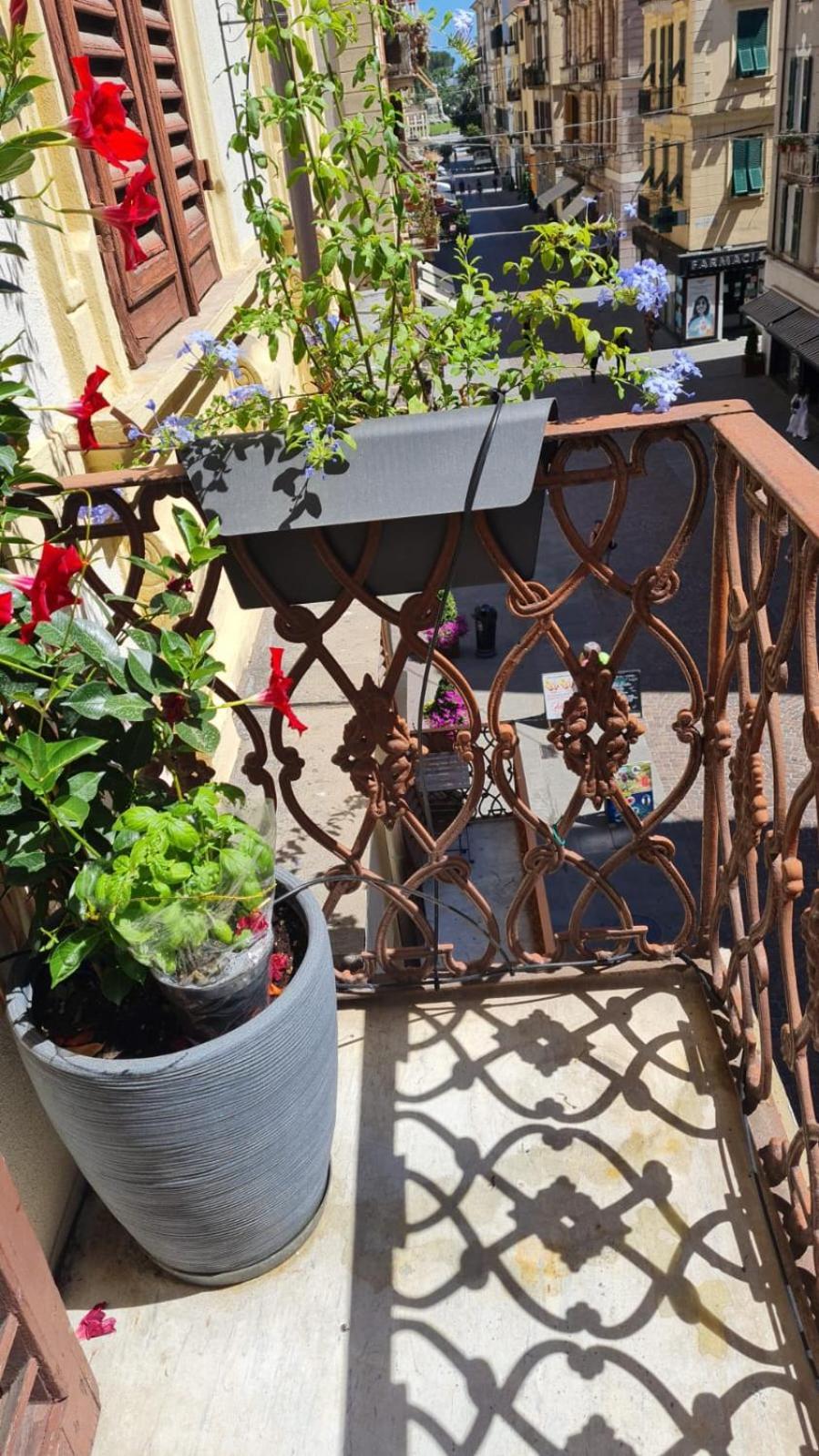 Grandmas 5 Terre Villa La Spezia Kültér fotó